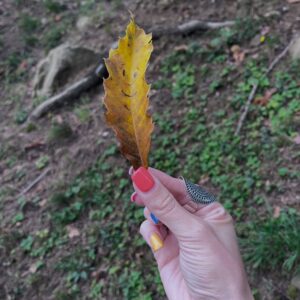 castagne 